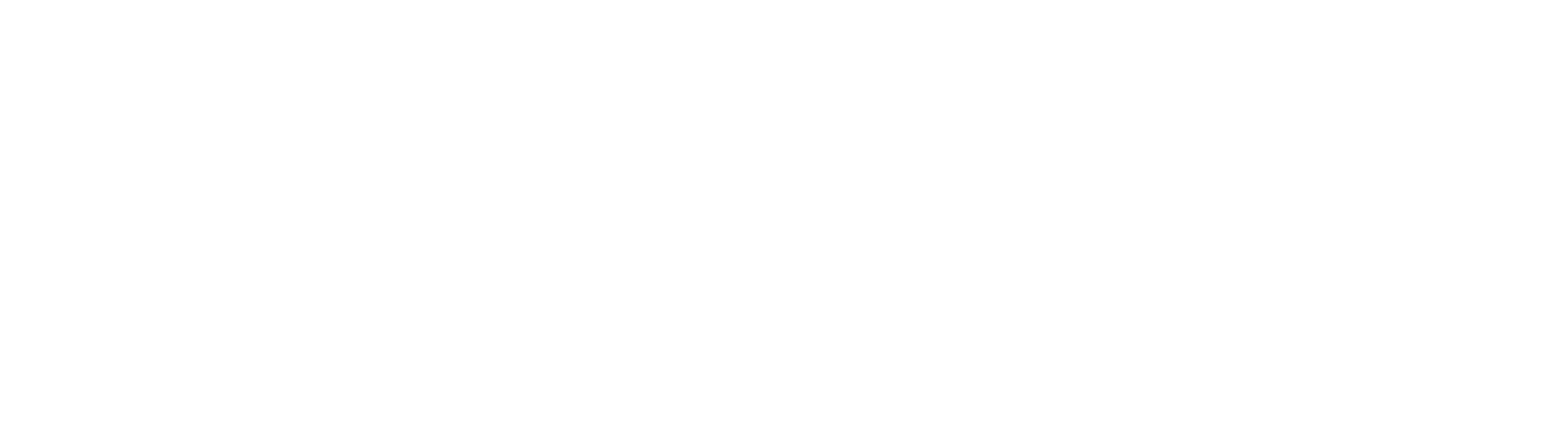 logo summerc